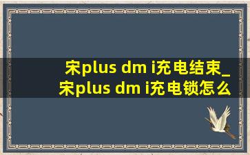 宋plus dm i充电结束_宋plus dm i充电锁怎么设置